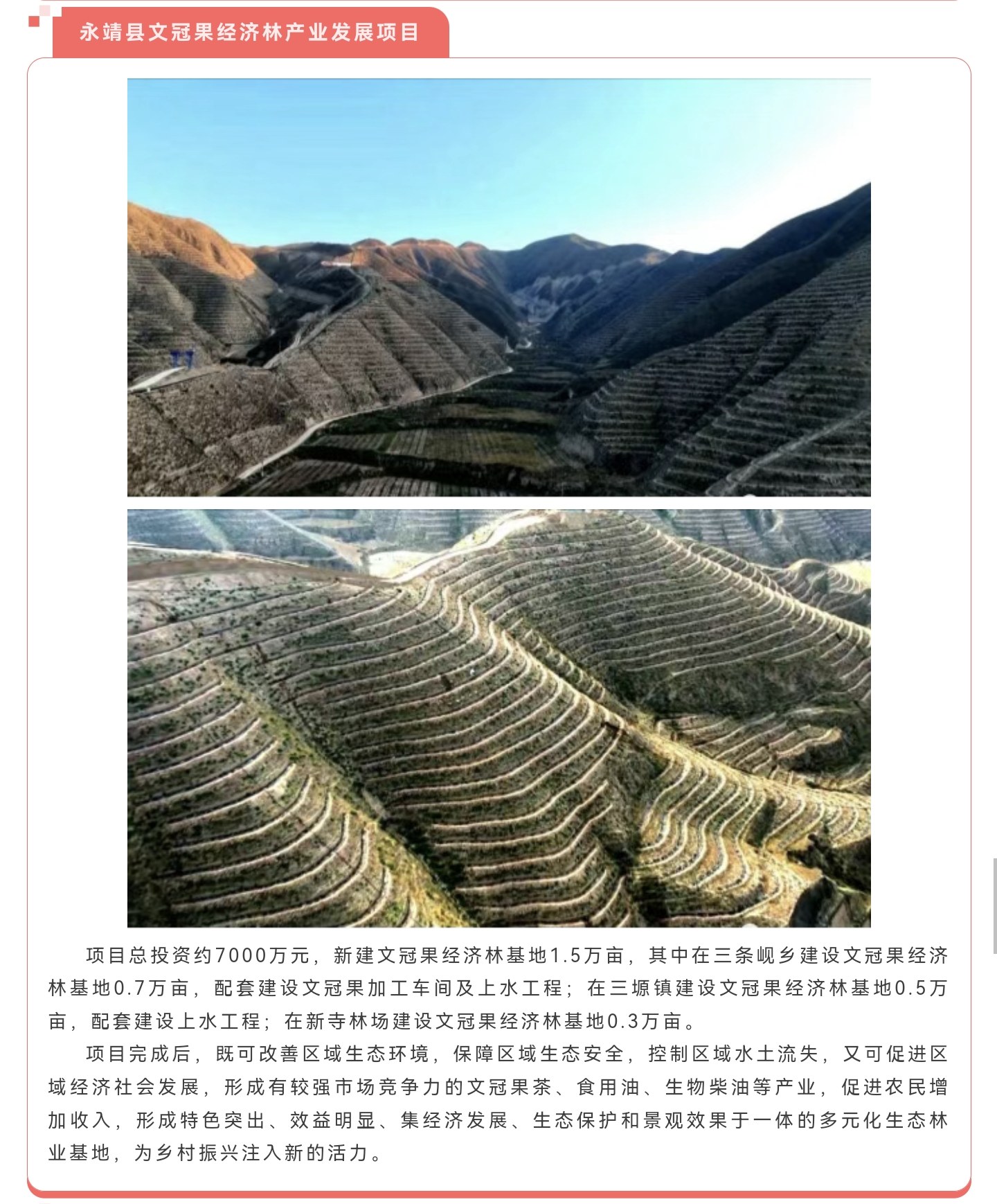 太平洋在线xg111(中国集团)有限公司官网